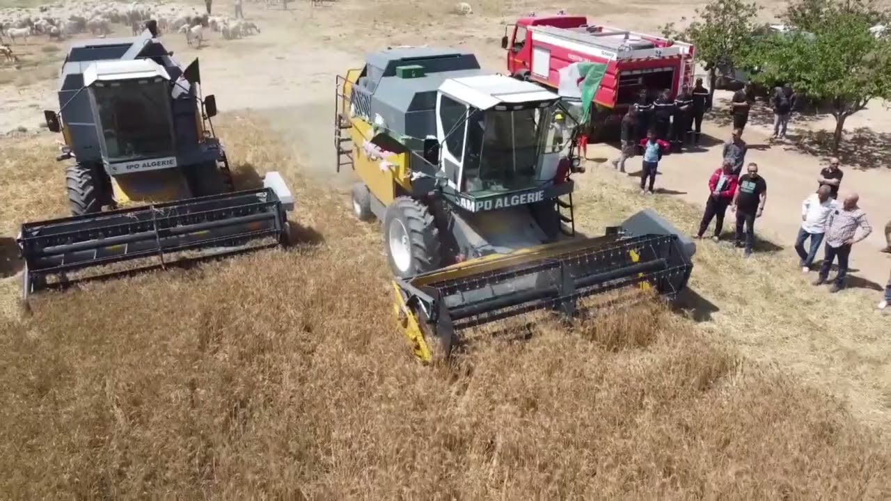 #خنشلة_حملة_الحصاد_الدرس_بالمنطقة_الشمالية