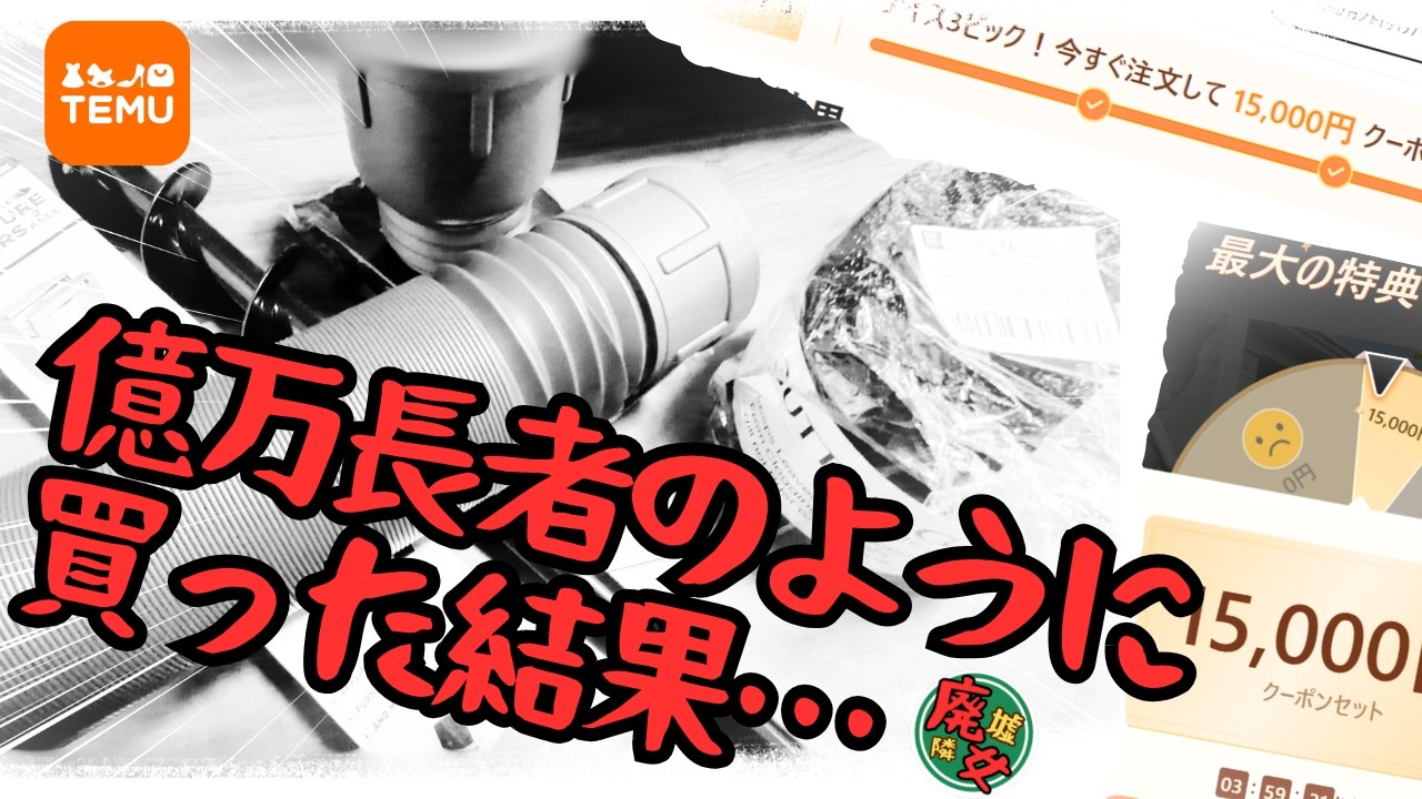 【廃墟の隣に棲む女】 ～TEMUって知ってますか？アスペが爆買いしてみました😭～#28