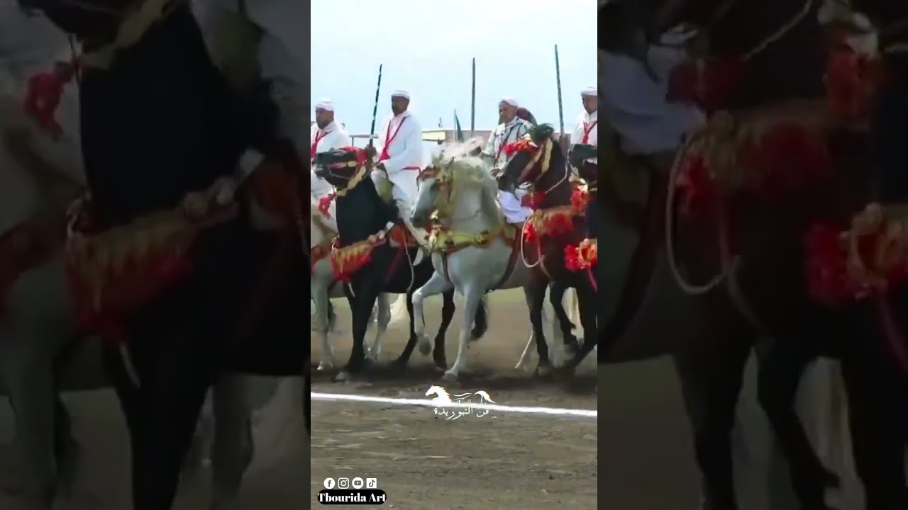 المايسترو بن ديهاج عبد المالك بمحرك بوزنيقة | اللهم بارك  #cavalier #اكسبلور #tbourida