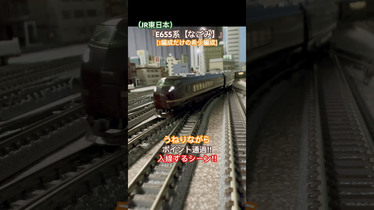 [うねり入線‼︎] E655系に特別車両を組込んだ6両フル編成でうねりながら入線するシーンを再現‼︎ 