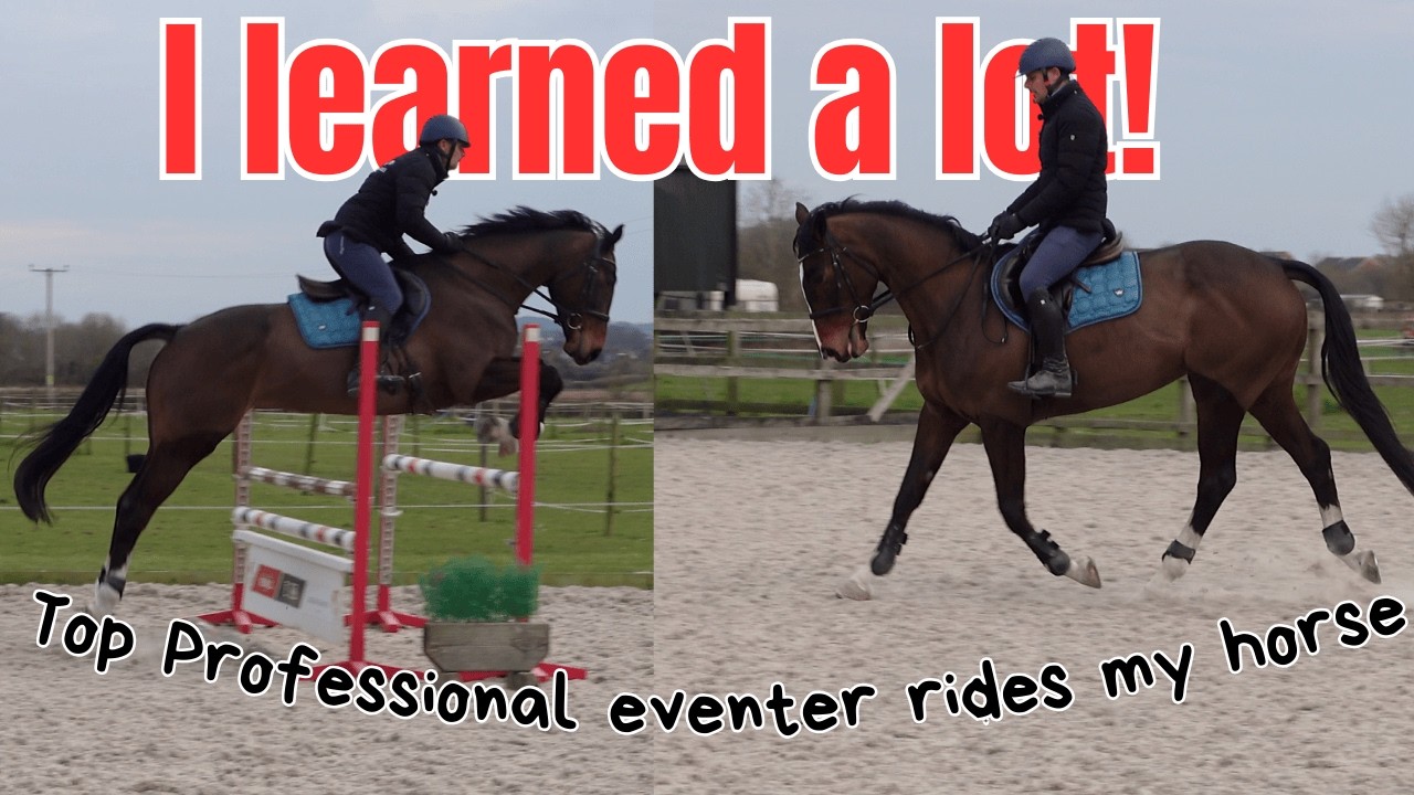 5* EVENT RIDER RIDES MY HORSE