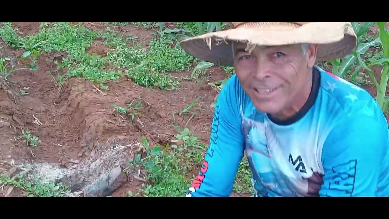PLANTANDO  O CAFÉ 