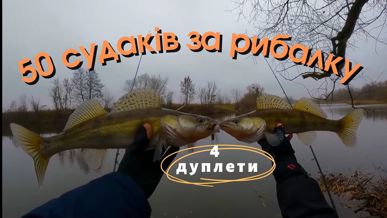 50 СУДАКІВ ЗА РИБАЛКУ! РИБА КЛЮЄ З КОЖНОГО ЗАКИДУ!! Тест спінінга Favorite Black Swan 842L-T