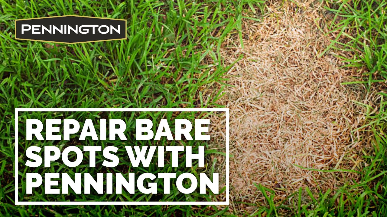 Fix Bare Spots in Your Lawn with Pennington&reg; One Step Complete (15 second video)