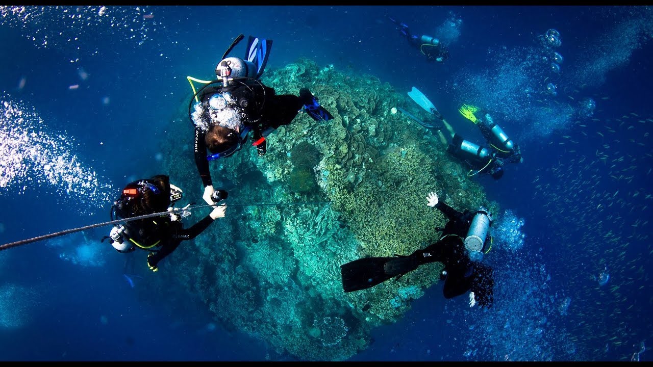 Ribbon Reefs @ The Great Barrier Reef