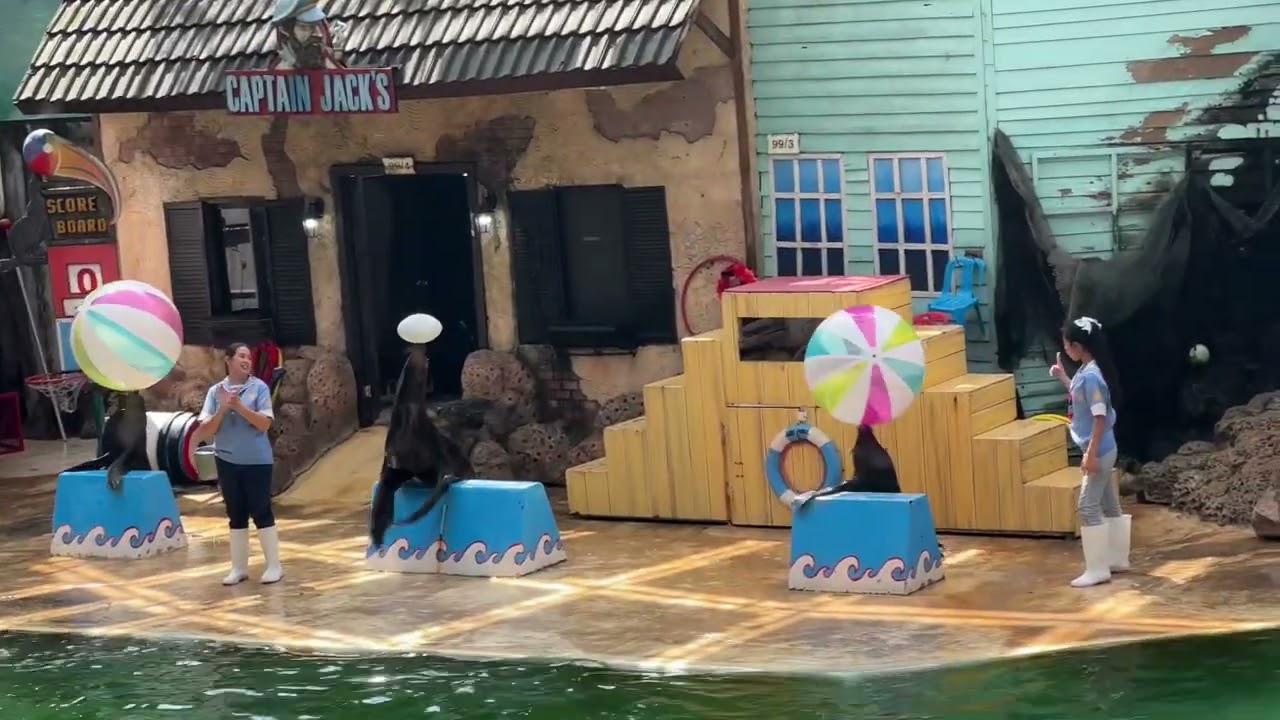 Sealion show in SAFARI WORLD, Bangkok,Thailand Part 1