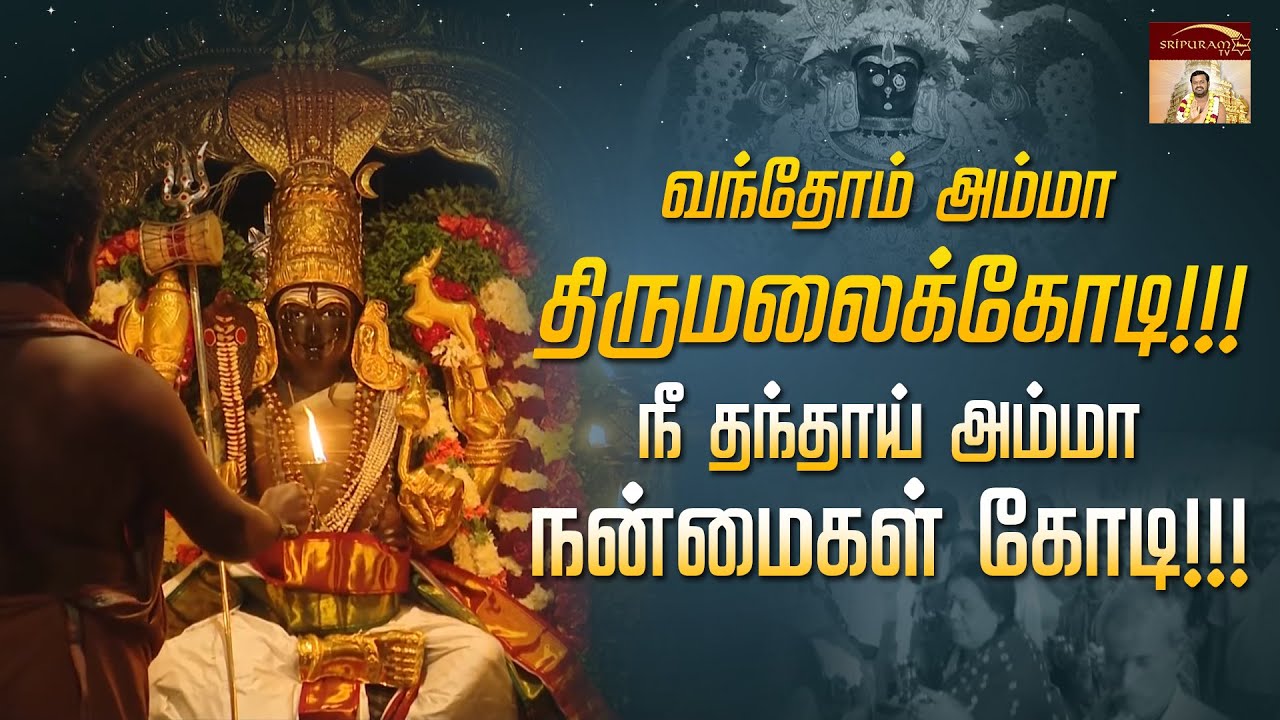 வந்தோம் அம்மா திருமலைக்கோடி ! ! ! நீ தந்தாய் அம்மா நன்மைகள் கோடி