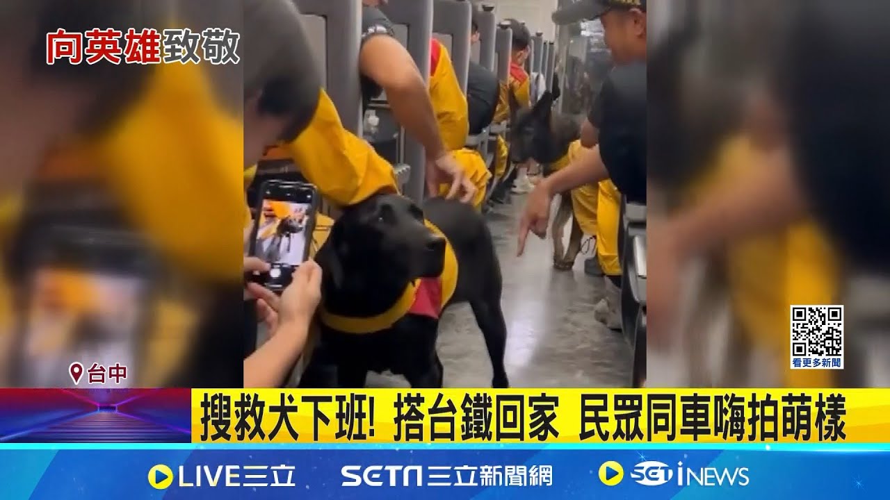 搜救犬下班! 搭台鐵回家 民眾同車嗨拍萌樣 │記者 許宇捷 曹勝彰│新聞一把抓20250928│三立新聞台