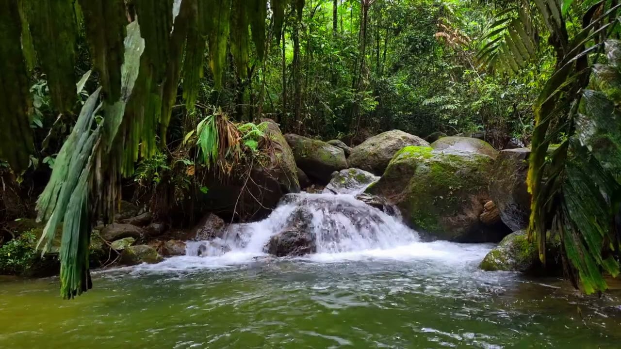 Steady River Flow For Deep Work Focus | 1 Hour Nature Sounds for Productivity & Study 4K