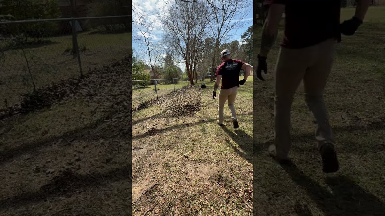 🍂 Yard Covered in Leaves… Watch This Cleanup Magic