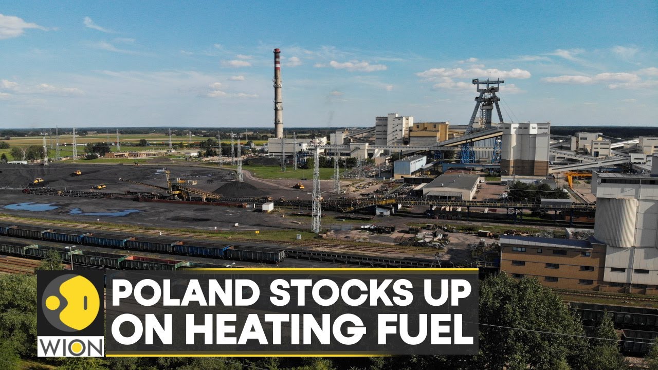 Poland: People line up at coal mine, fearful of winter shortages | Latest World News | WION