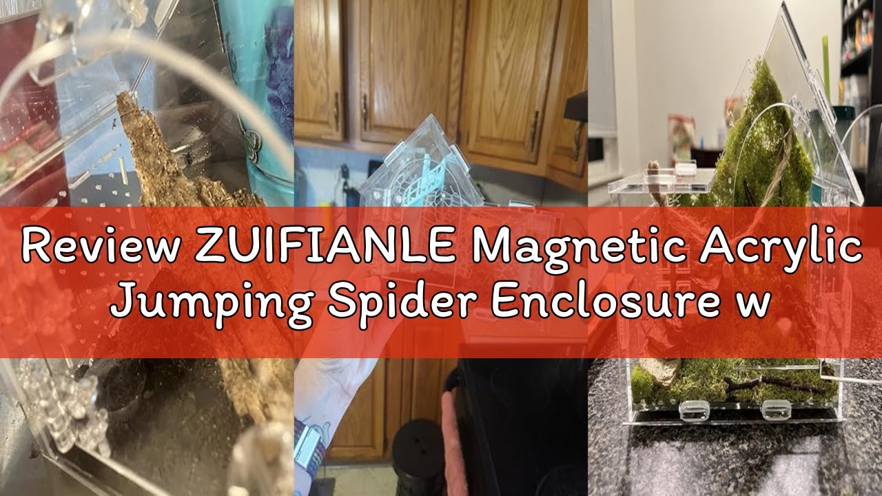 Review ZUIFIANLE Magnetic Acrylic Jumping Spider Enclosure with Mushroom House, Easy-Feed Hole & Fro