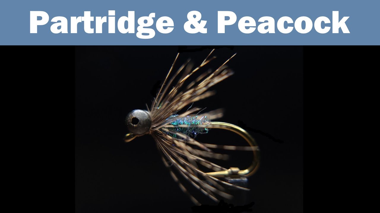 Partridge and Peacock | Fly Tying Tutorial