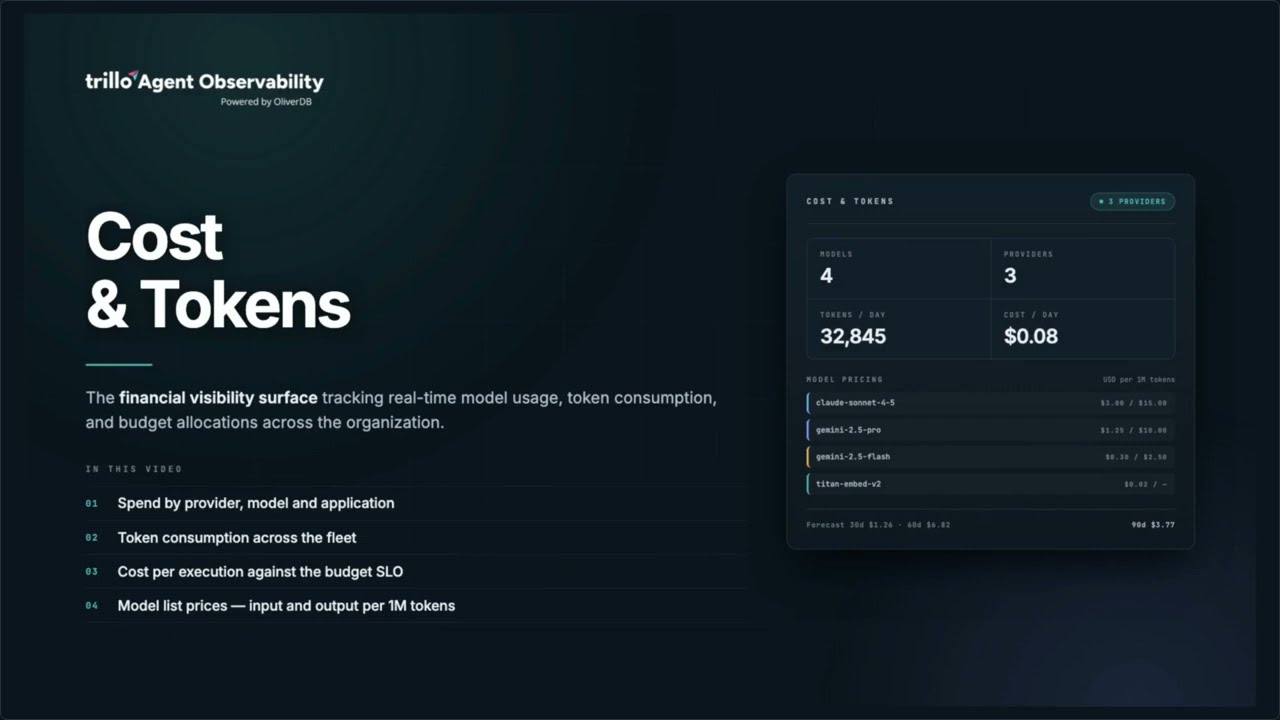 Understanding Cost & Token Visibility