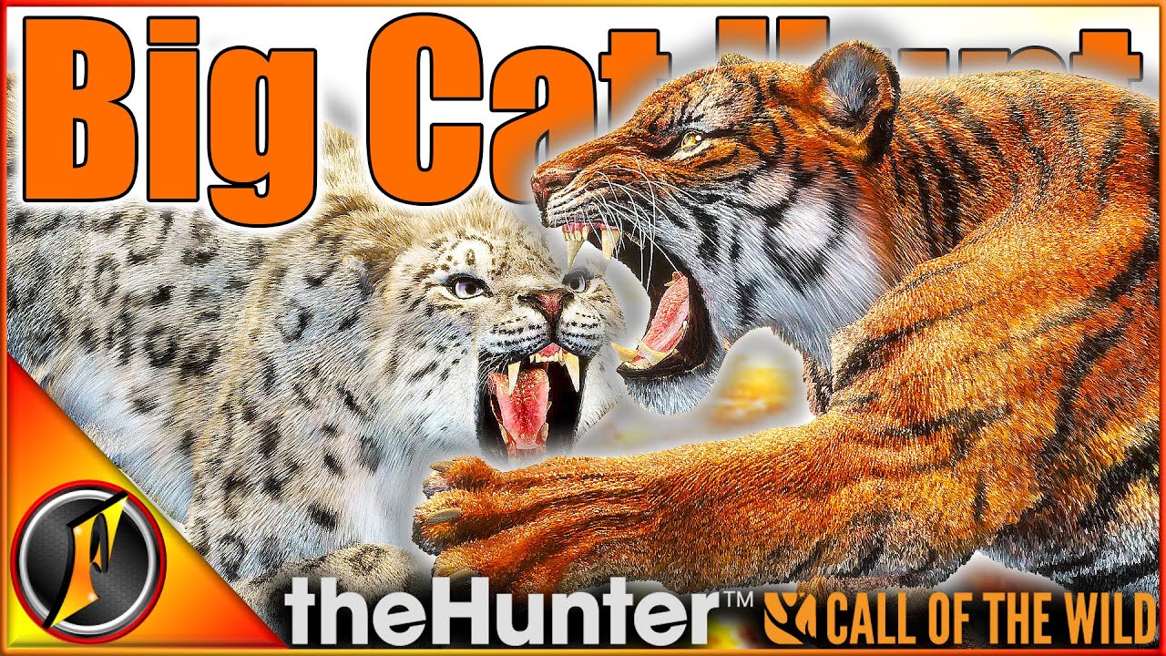 Hunting Snow Leopards & Tigers! ... Or Being HUNTED! | theHunter Call of the Wild