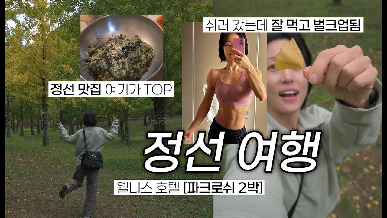웰니스 정선 여행! 파크로쉬 정선 후기, 정선 맛집 회동집, 월정사&홍천은행나무숲 강원도 가을 여행