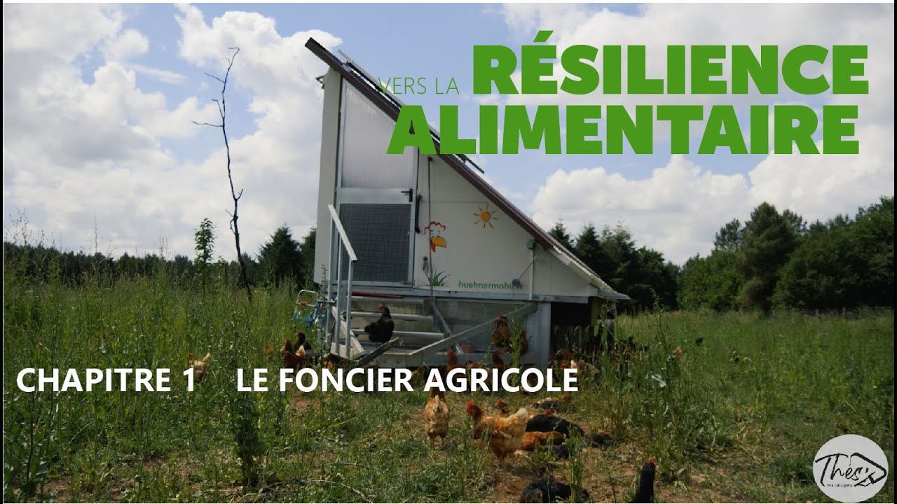 VERS LA RÉSILIENCE ALIMENTAIRE || Chapitre 1: Le foncier agricole