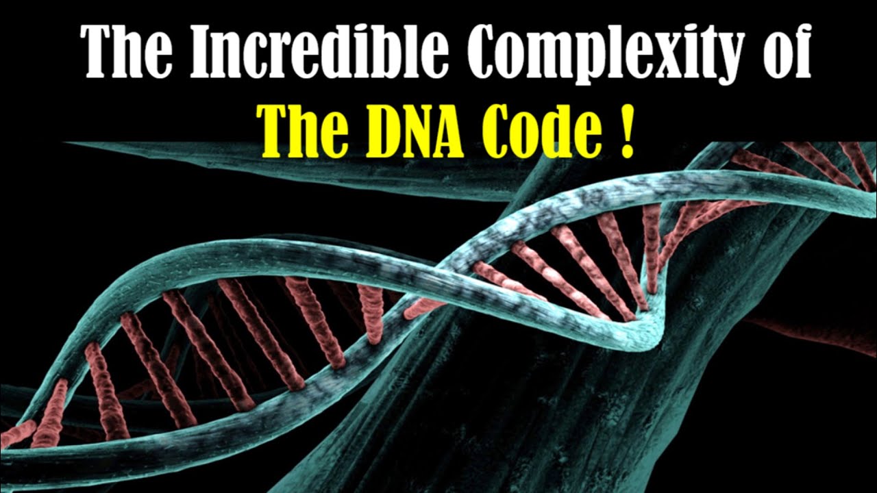 The Incredible Complexity of the DNA Code !