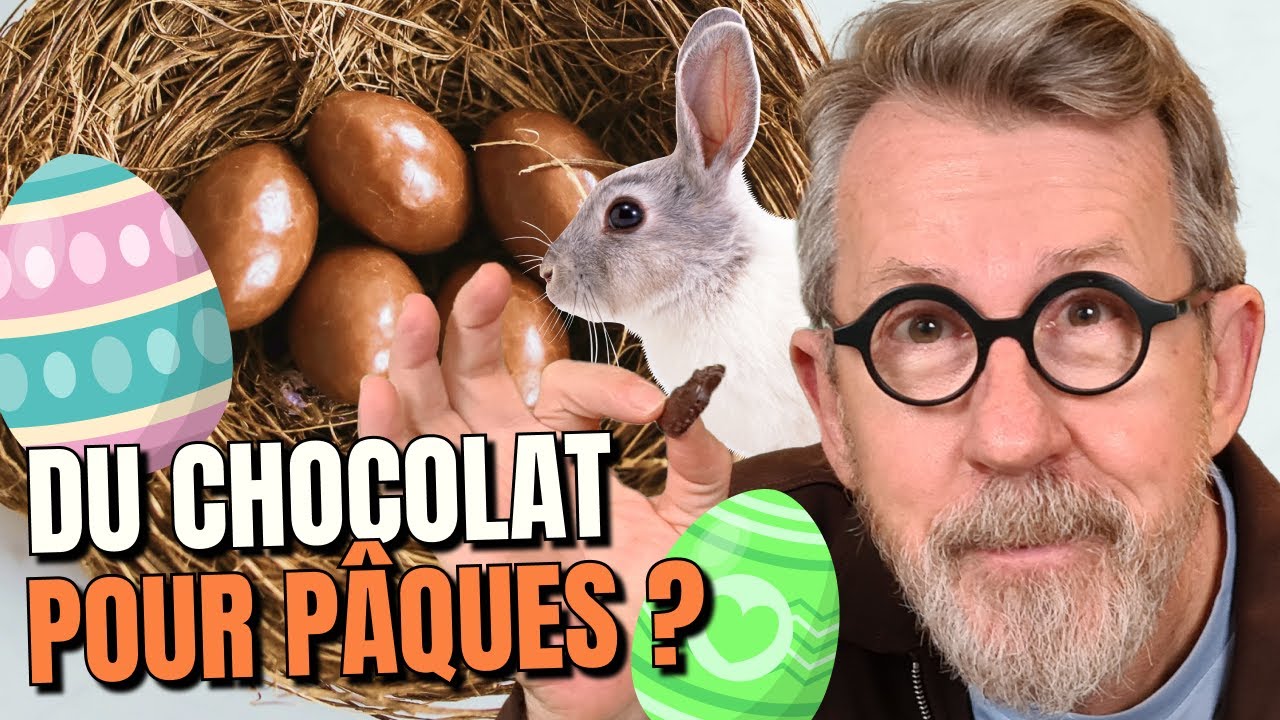 Comment fabrique-t-on le chocolat ? 🍫 🥚