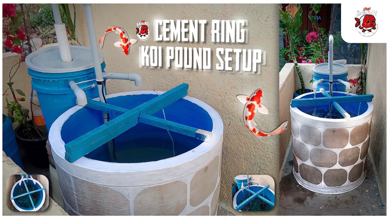 KOI POUND SETUP TAMIL | CEMENT RING | KOI SERIES EPISODE - 02