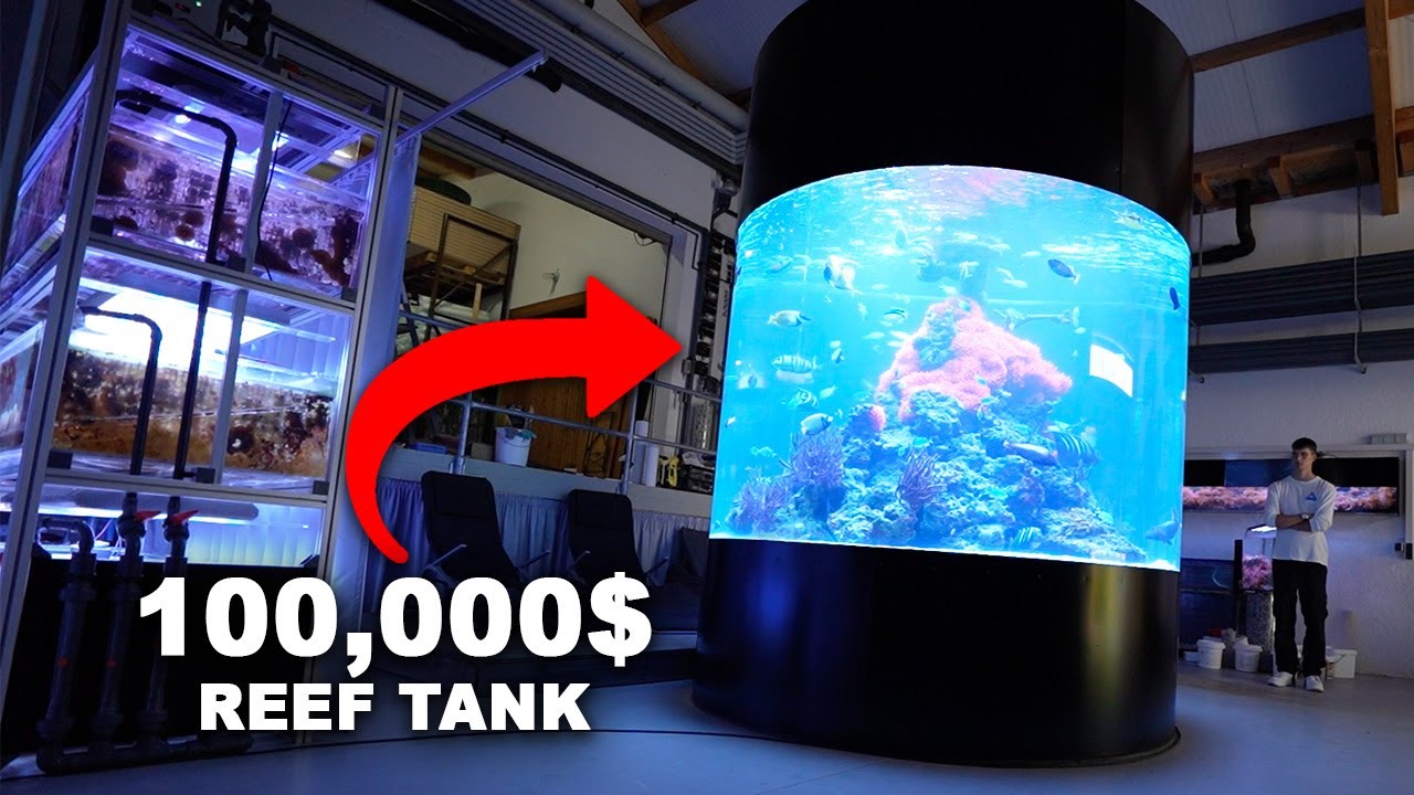 100,000$ REEF AQUARIUM + Germany's biggest coral farm!!! *30,000 animals*