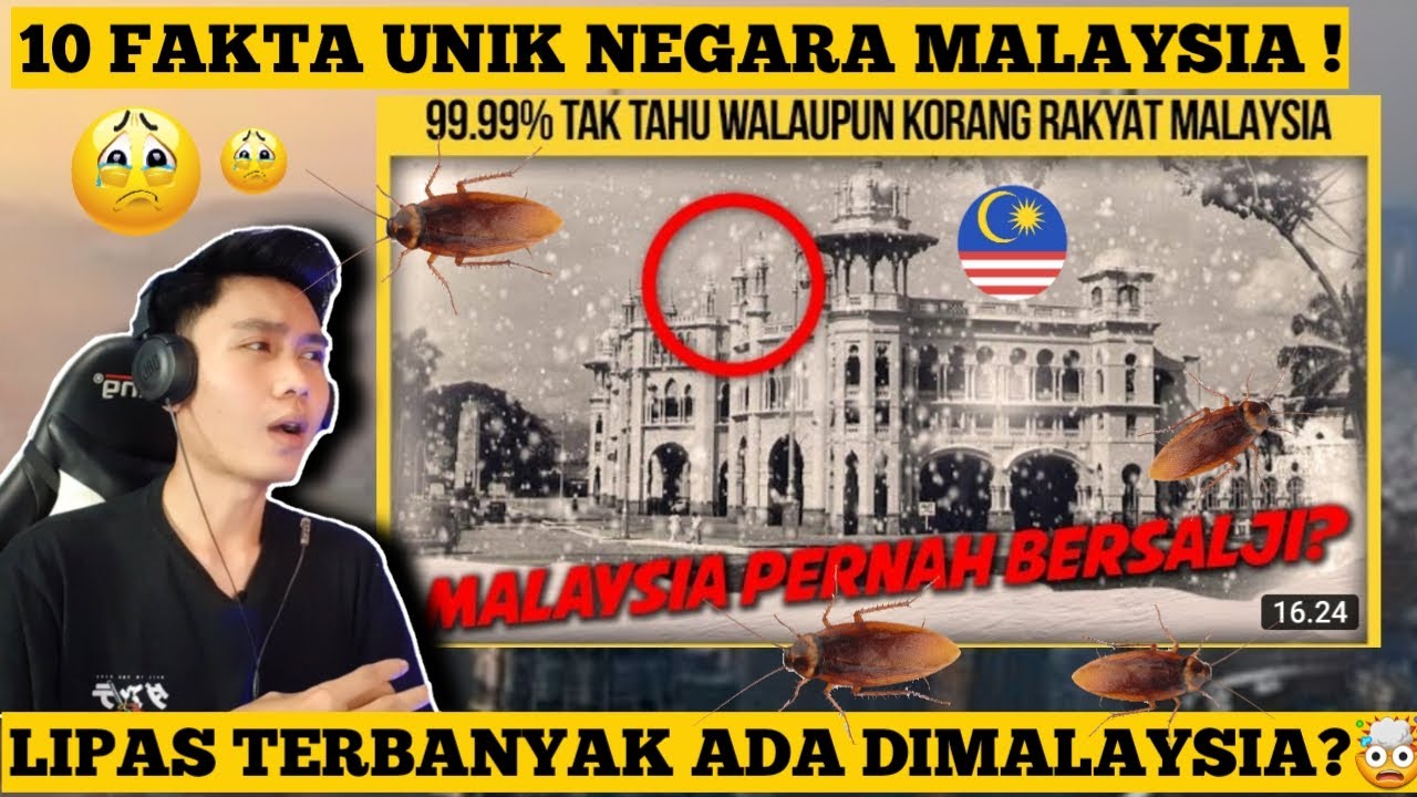JANGAN KAGET ‼️ INILAH 10 FAKTA PALING UNIK NEGARA MALAYSIA ‼️ Indonesia reaction