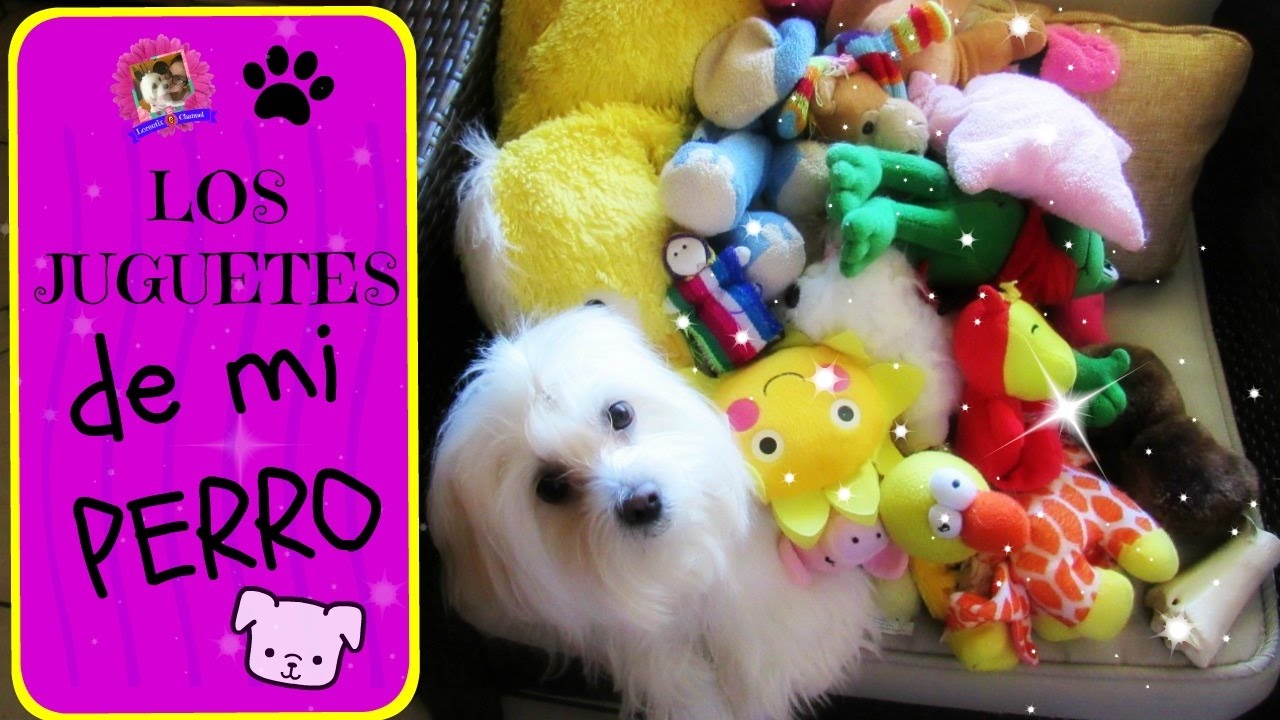 Juguetes de mi Perro Coton de tulear. juguetes y cama  I Lorentix