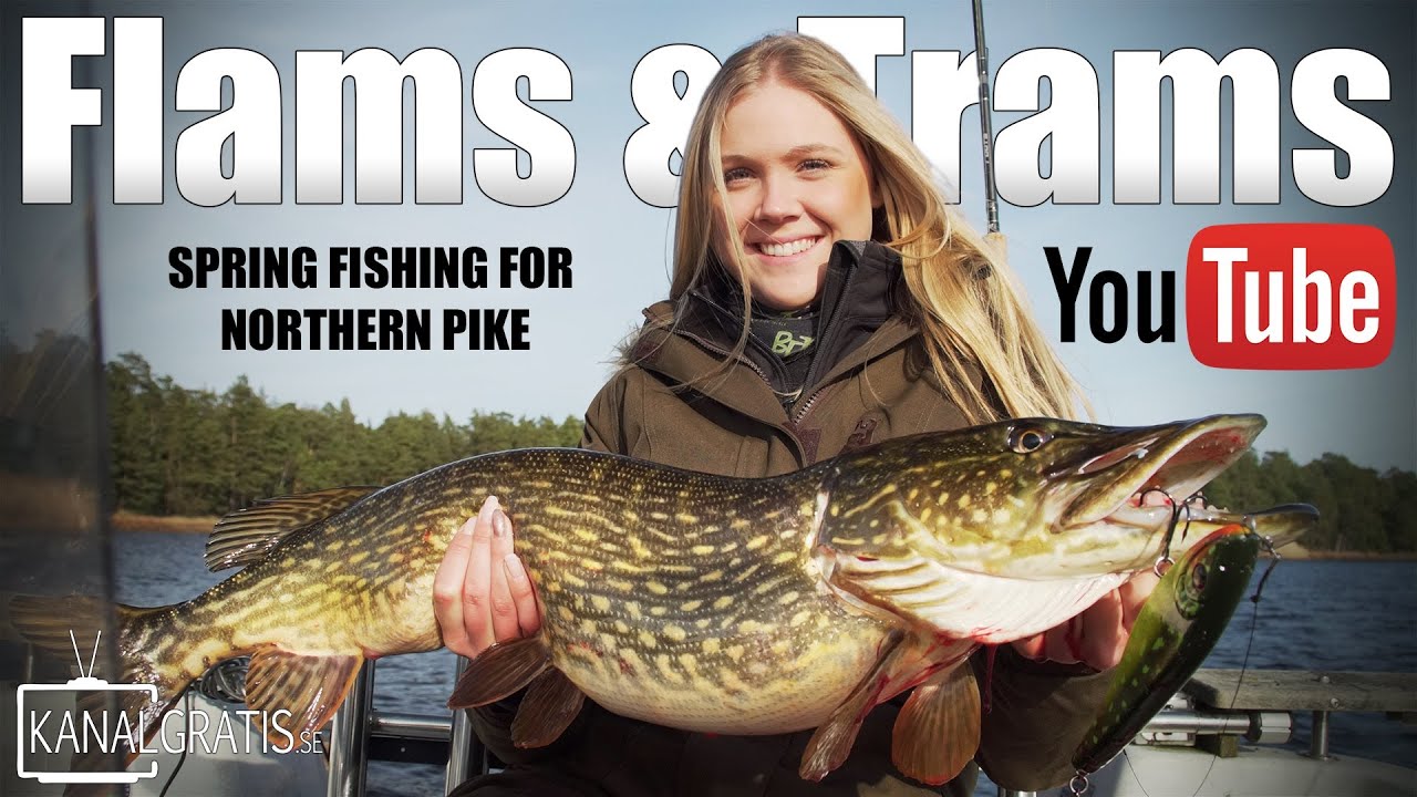 Flams & Trams | Spring Fishing for Northern Pike - Kanalgratis.se