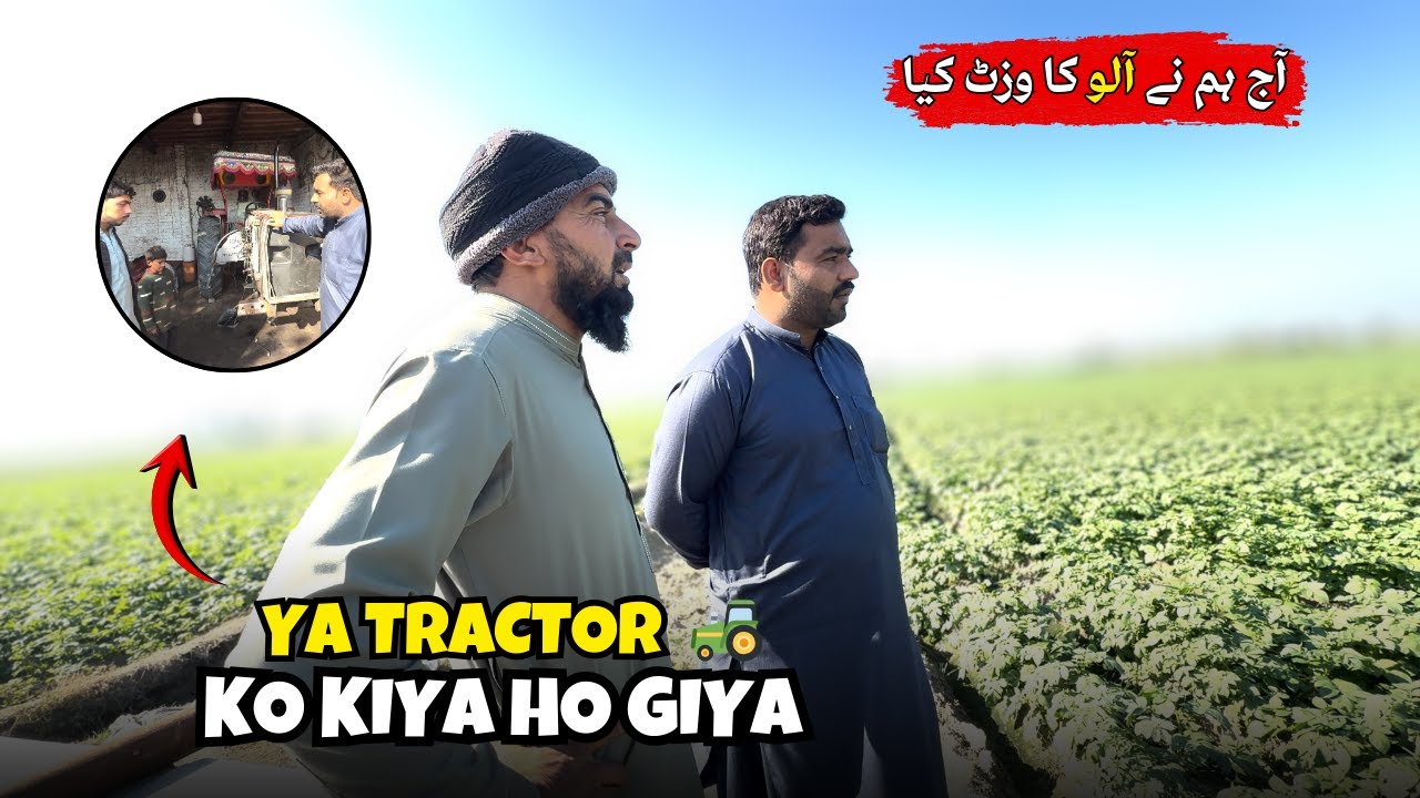 Aaj Aloo Ki Fasal Ka Mukammal Jaiza Liya 🥔🌱 || Tractor ko Kiya Ho Giya