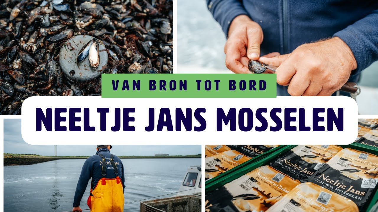 Van Bron tot Bord: Mosselen van Neeltje Jans | Bidfood