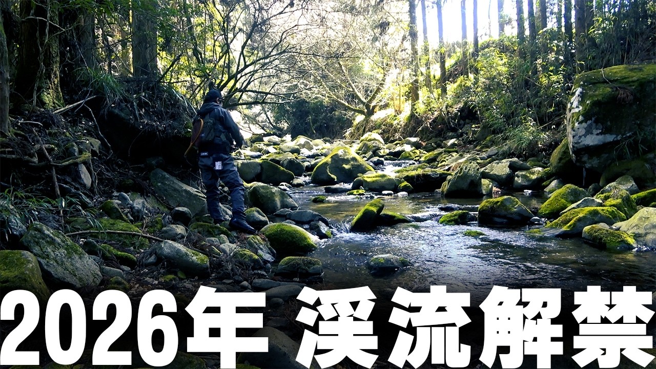 渓流解禁でバイトシーン満載!!2026年最初の一匹を追う｜ハードコア トラウト (1661)
