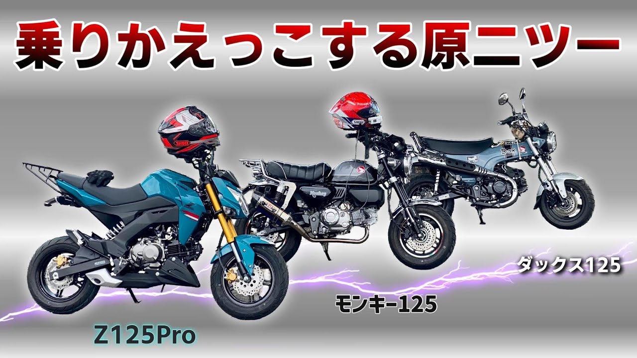 【慣らし無し】新車Z125Proとモンキー125とダックス125でローテーションしてみた【125ccバイク】