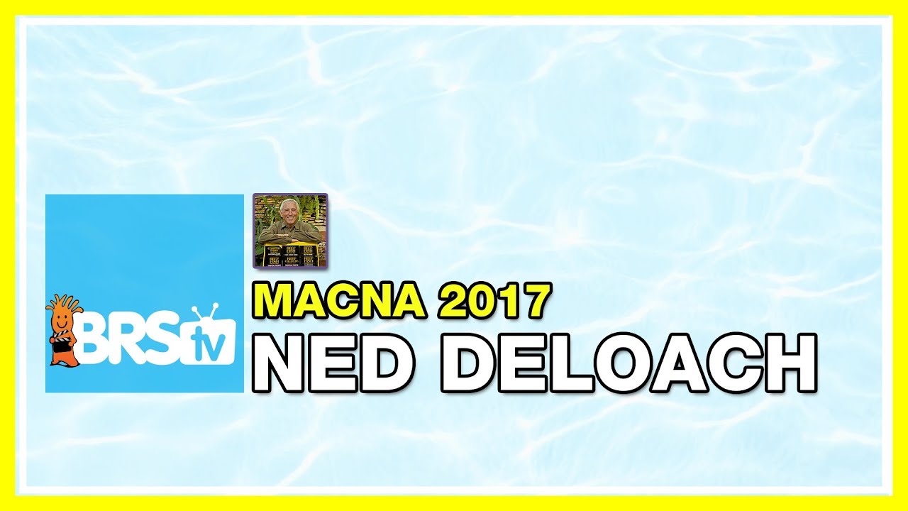 Ned DeLoach: Dream Fish | MACNA 2017