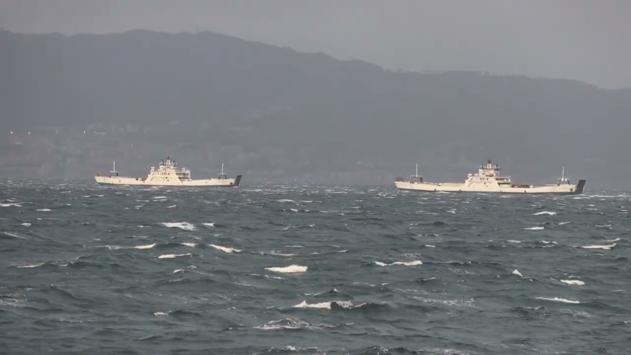 Maltempo a Reggio Calabria: le immagini del forte vento che 