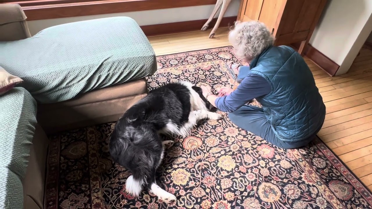 Skip’s eyes and the bucket game