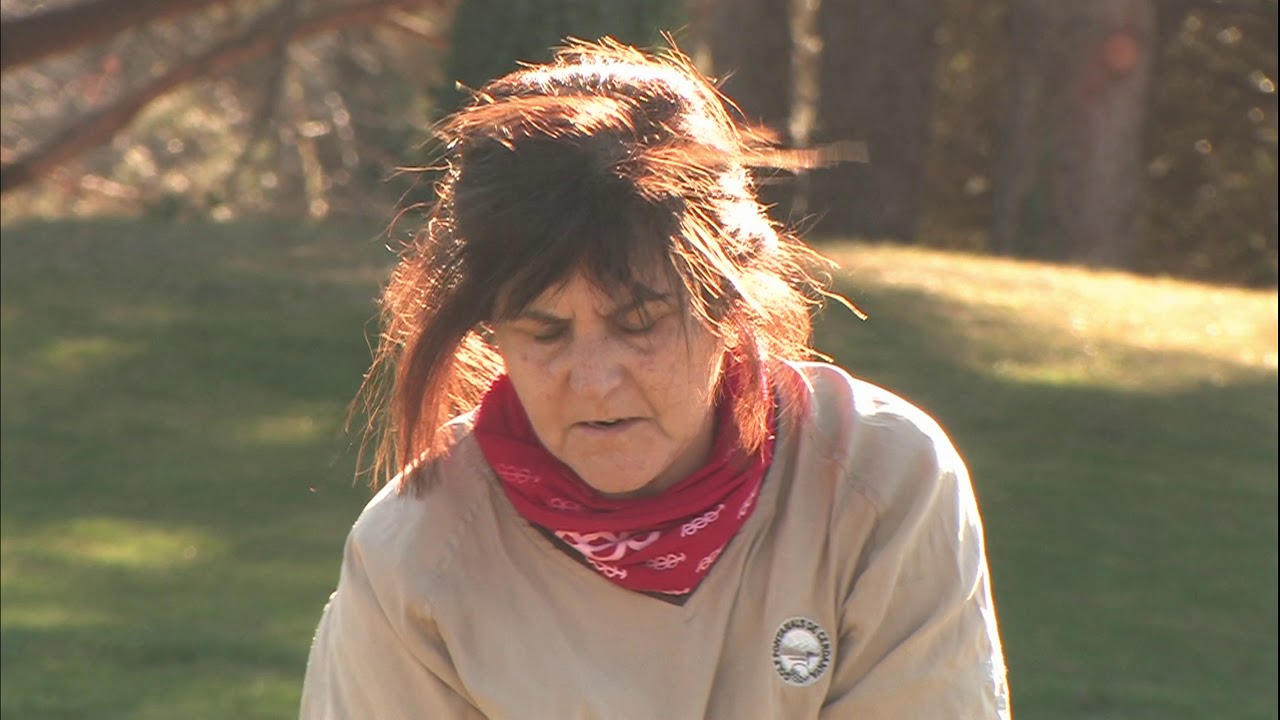 Neus cerezos 8/02/2021