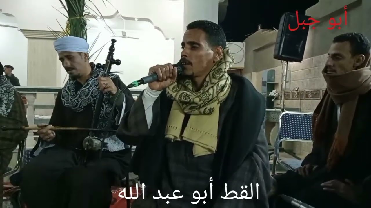 القط أبو عبد الله