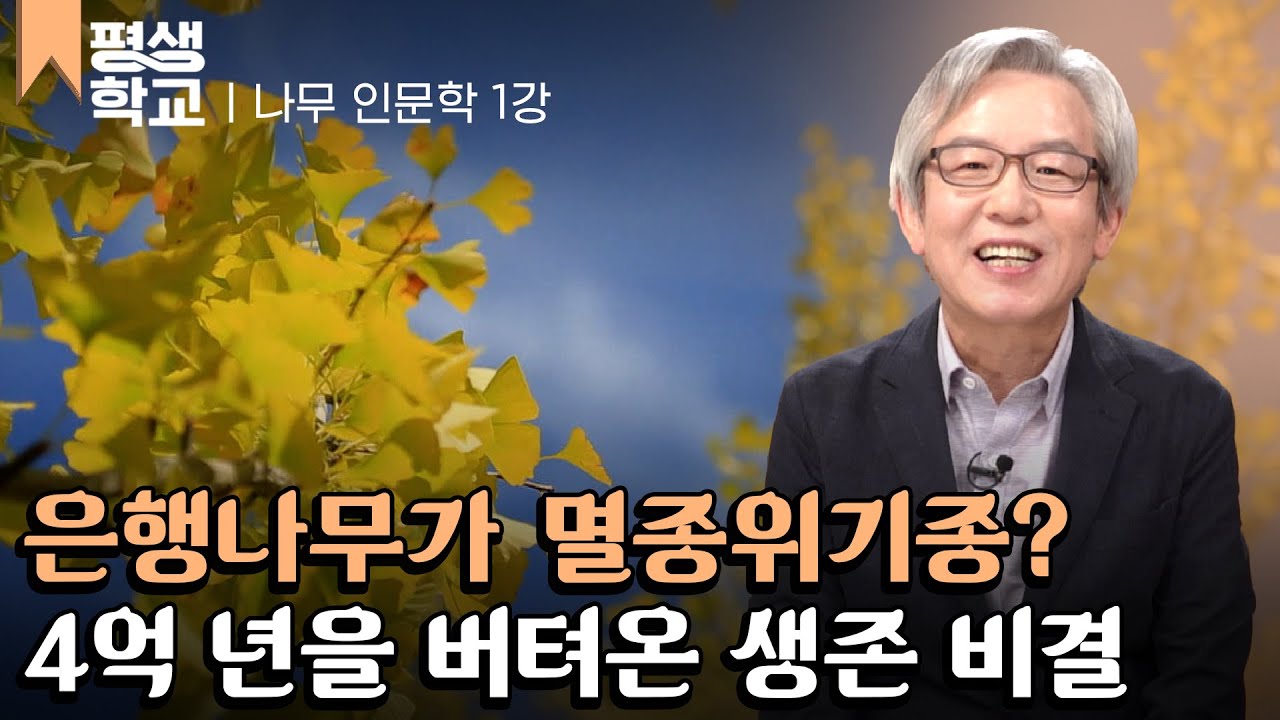 [#EBS평생학교] 1강 세상에서 가장 오래된 나무, 은행나무│고규홍의 나무에 담긴 생명의 원리