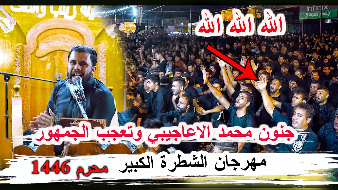 جنون محمد الاعاجيبي وتعجب الجمهور _ مهرجان جربة العباس ع السنوي الكبير الشطرة محرم 1446