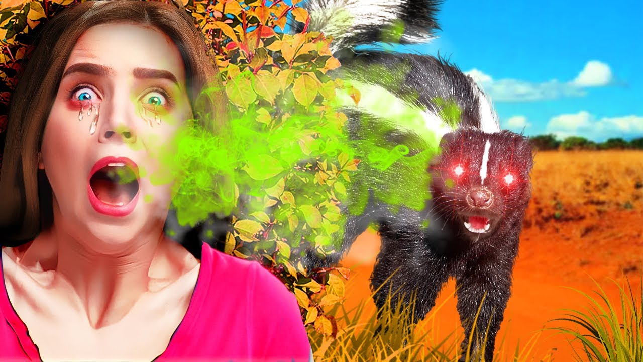 La Pire Odeur Animale Du Monde