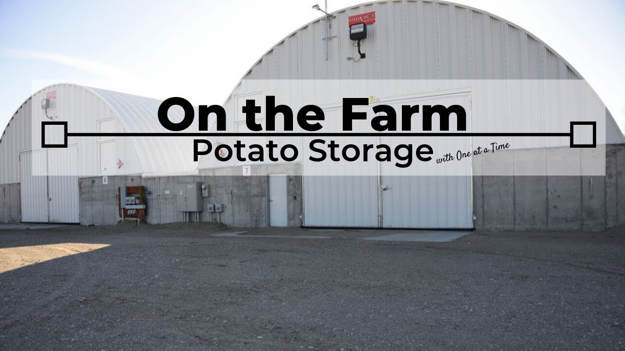 Potato Storage