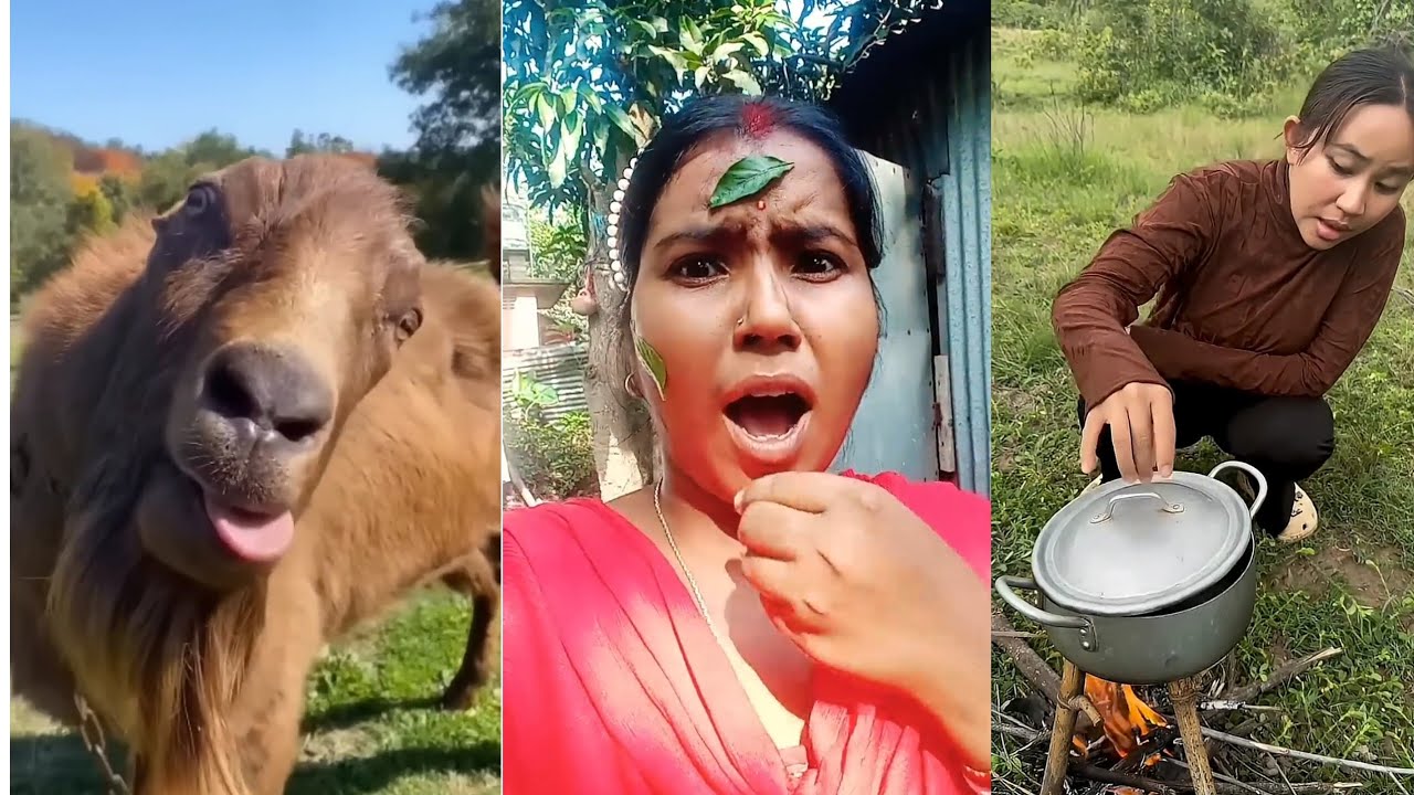 Soma Basak Lifestyle funny videos 🤣🤣#funny #comedy //My new funny videos 🤣 by 27 July. No 2. 2025