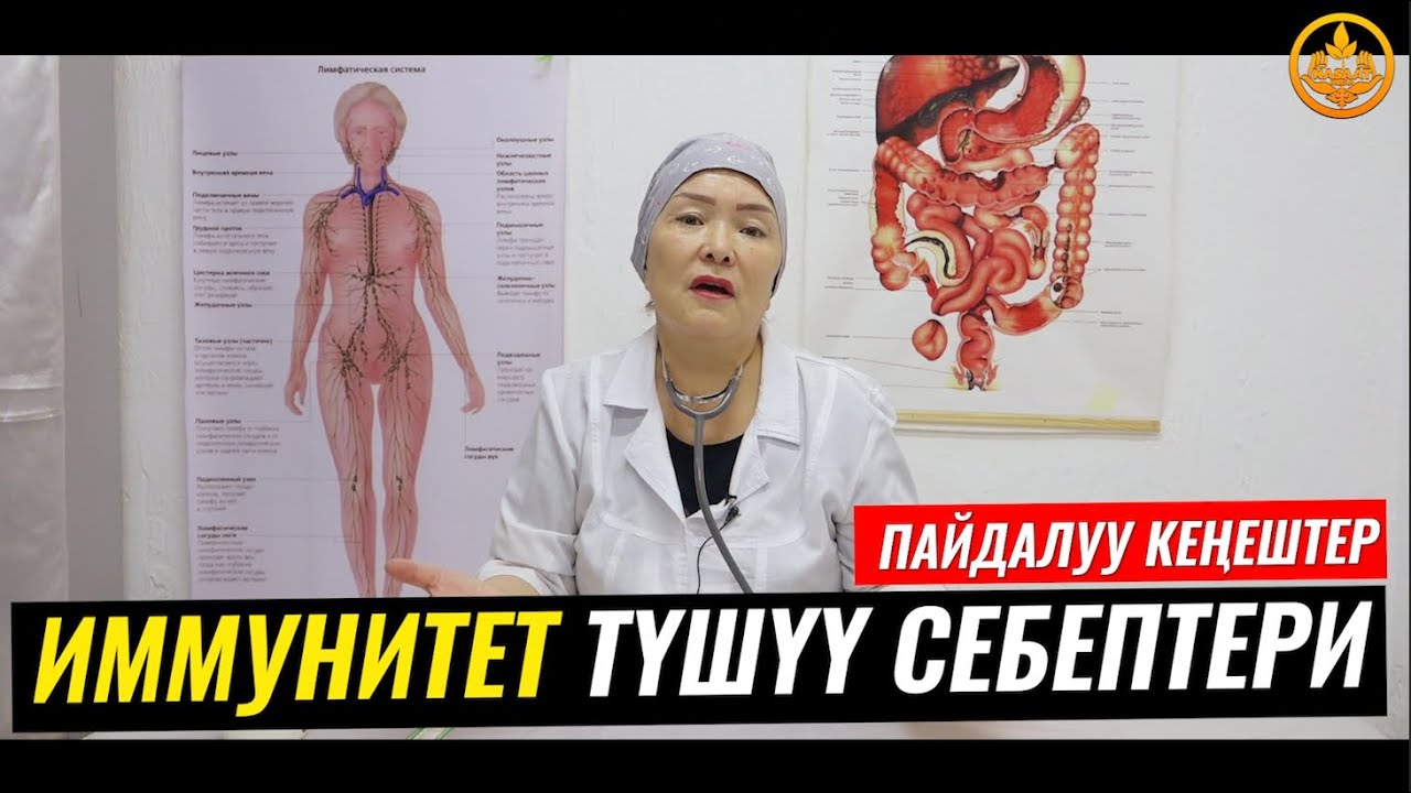 ИММУНИТЕТТИН ТҮШҮҮ СЕБЕПТЕРИ,ТУУРА ЭМЕС ТАМАКТАНУУ. ВРАЧ-ТЕРАПЕВТ ГҮЛСАНА БАПАЕВА