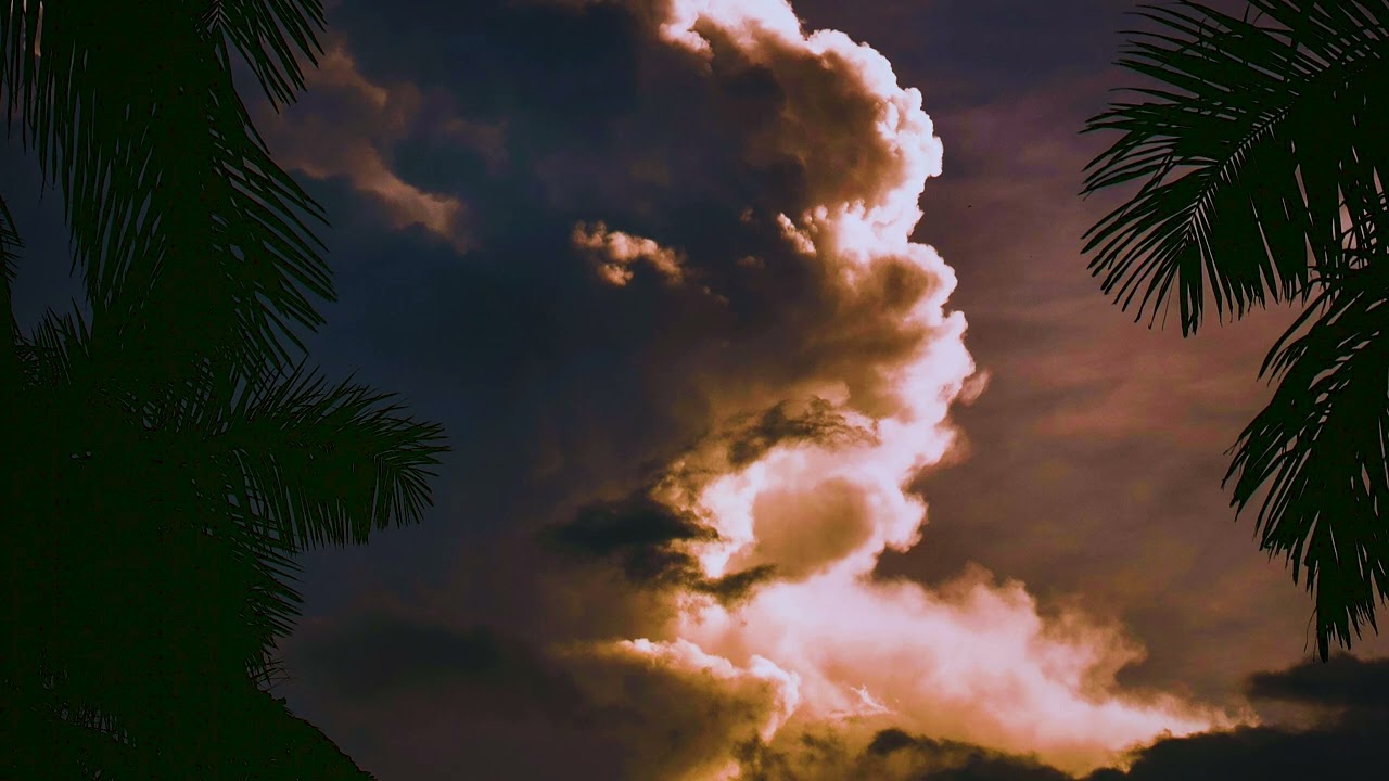 Mistune | Deep Sleep Music | Nature & Piano to Calm Your Mind