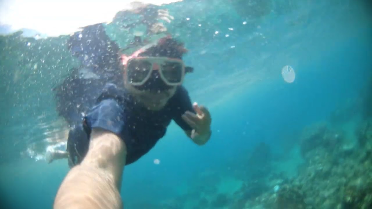 Cebu Southside Alegria Snorkeling Adventure with its Natural Coral Reef