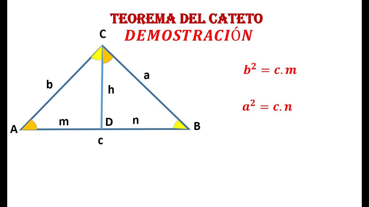 TEOREMA DEL CATETO. ¡¡DEMOSTRACIÓN!!