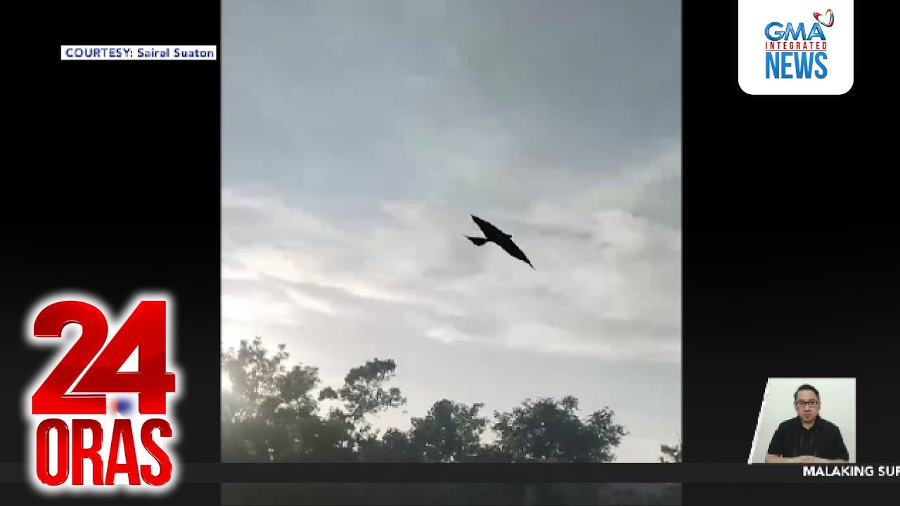 Ibong lumilipad sa Olango Island, Cebu, de-remote | 24 Oras