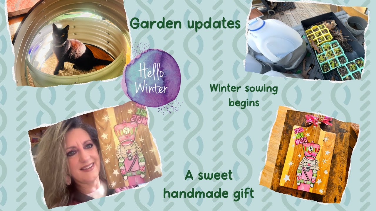 Еженедельный видеоблог! Новости из сада! #еженедельныйвидеоблог #сад #зимнийпосев