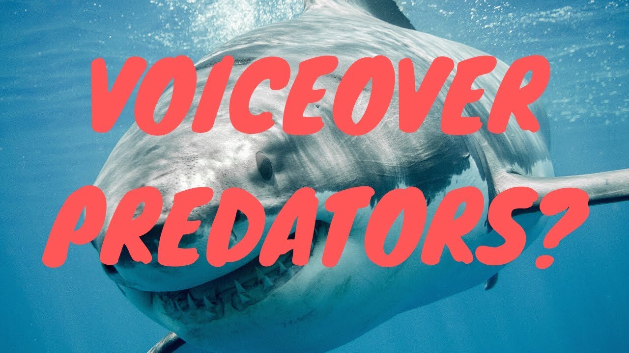 Voiceover Agents, Managers and P2Ps