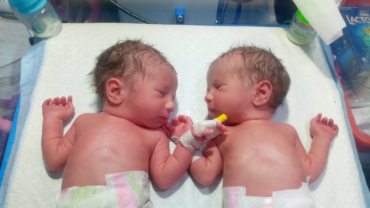 Care of neonates499 is live!Sweet & Cute Premature Baby Low Birth Weight Baby Care NICU Live Update💕